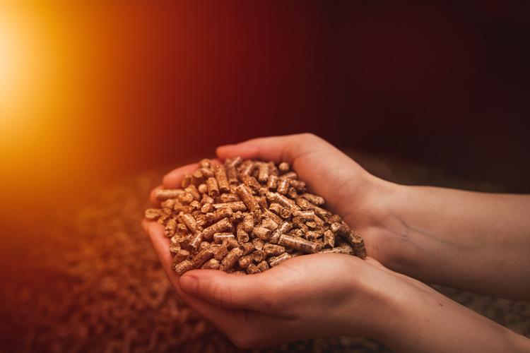 Pellet de bois, un combustible de qualité au meilleur prix